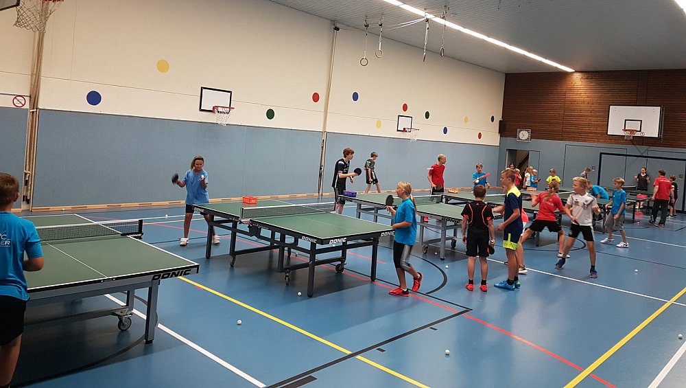 Tischtennis für Anfänger-Kinder im TTC Enger | nw.de