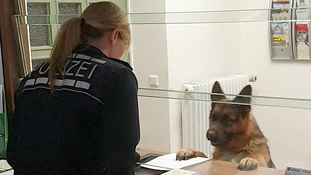 Nach Festival Verbot: Der Komplette Ratgeber Für Verzweifelte Besucher! - 6ljfrm7