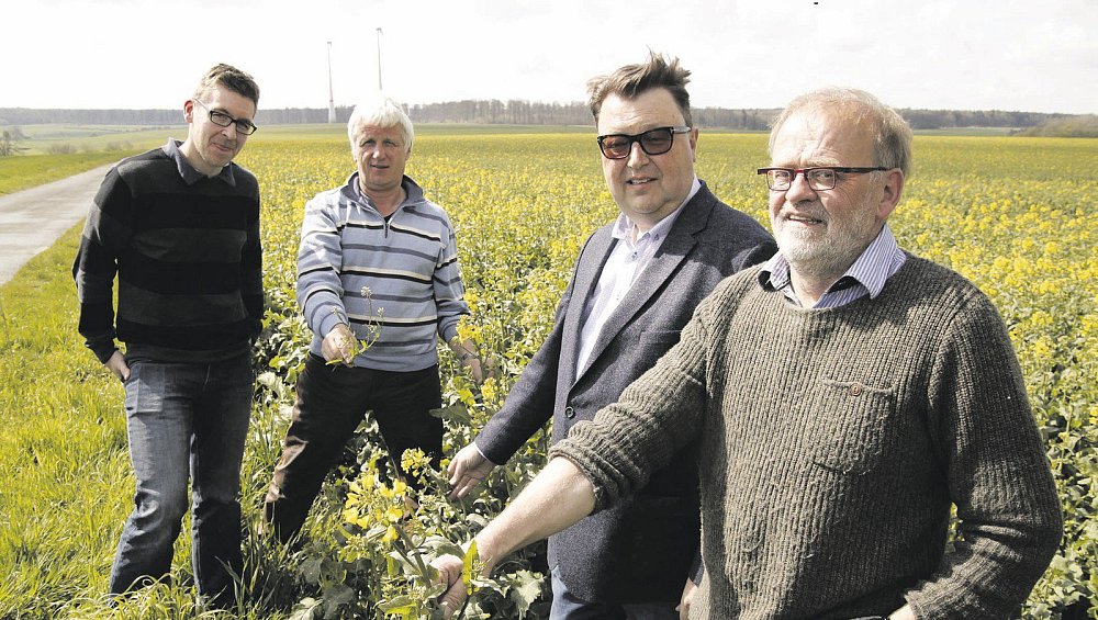 Energiestiftung unterstützt Landwirte mit SaatZuschüssen nw.de