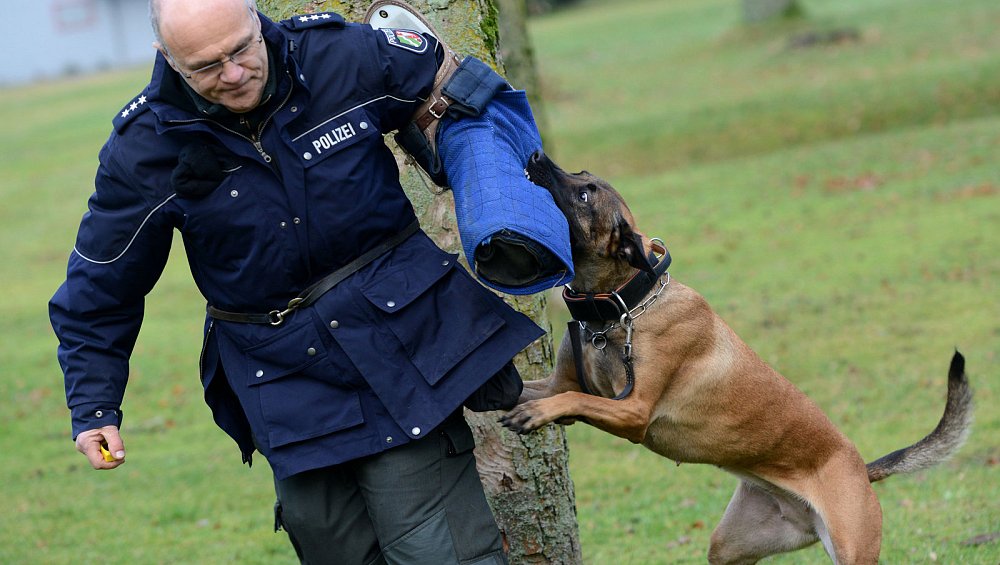 Polizei will ihre Hunde ohne brutalen Zwang ausbilden nw.de
