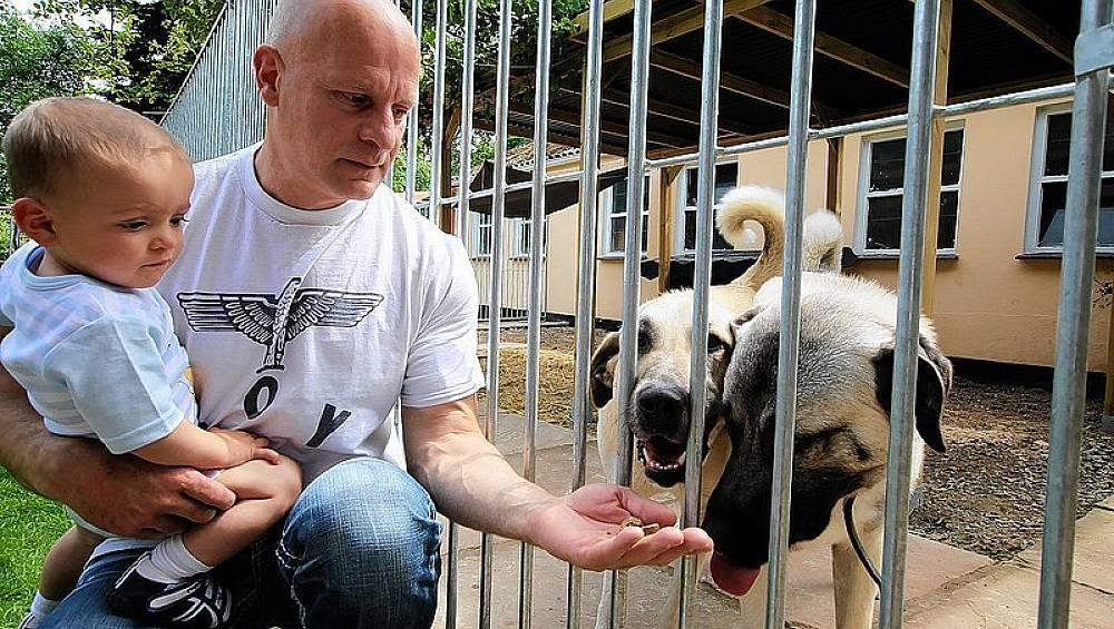 70 Nachbarn gegen zwei Hunde nw.de