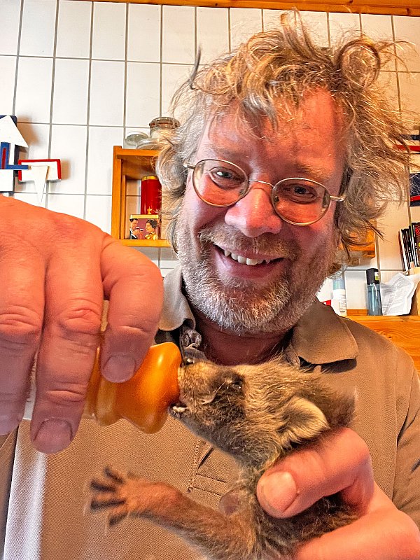 Mit dem Fläschchen werden die Tiere gefüttert. - © Robin Jähne